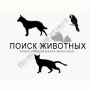 Потерялась Собака (Порода не известна) Потерялась Собака (Порода не известна)